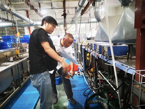 規(guī)范廠中廠服務小微園，樂清翁垟街道繃緊企業(yè)生產(chǎn)安全弦